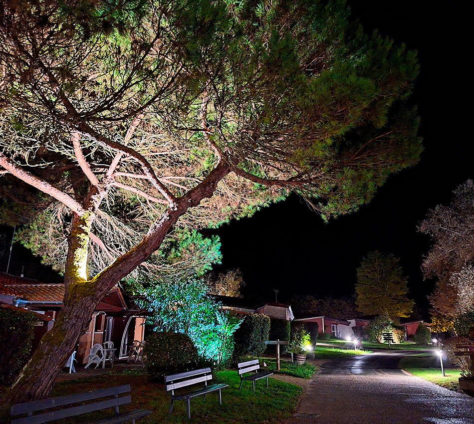 Allées du parc du Relais du Moulin Neuf éclairées de nuit entre pavillons d’hébergement, pin parasol et bancs