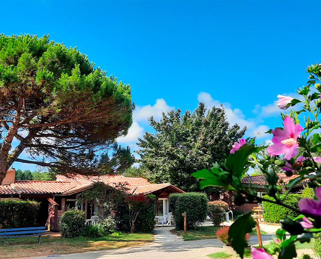 Pavillons d’hébergement de plain-pied avec terrasses au Relais du Moulin Neuf, au cœur d’un jardin fleuri